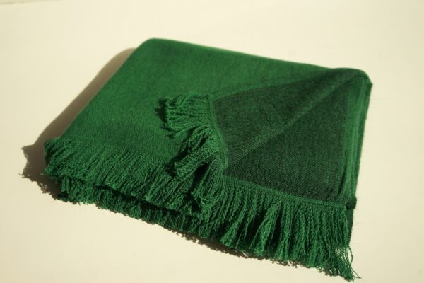 Jade Shawl - Image 2